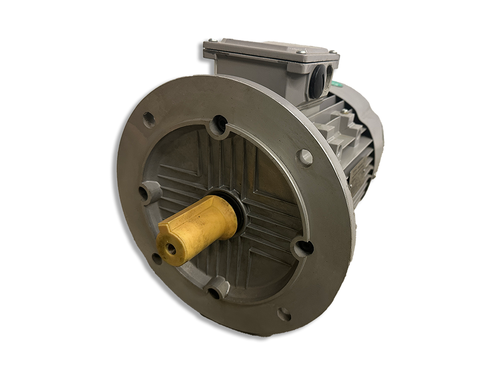 Niedermeier NAH100L1-4 three-phase squirrel-cage motor
